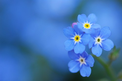 Юля Смирнова | 