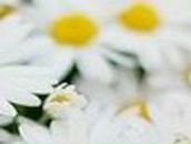 Кристина Фатьянова *Розкажи,мені на картах,де ти є* | Одесса