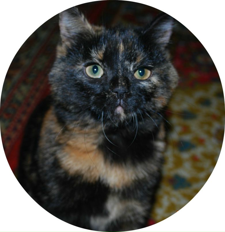 Екатерина Гарина JD | Punta Cana