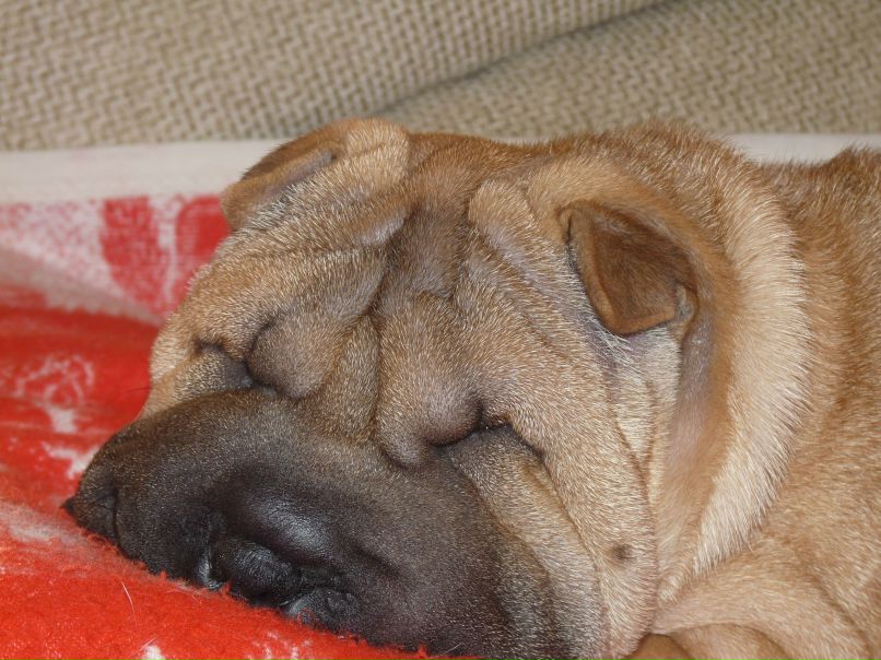 Анастасия Радость | Бирск