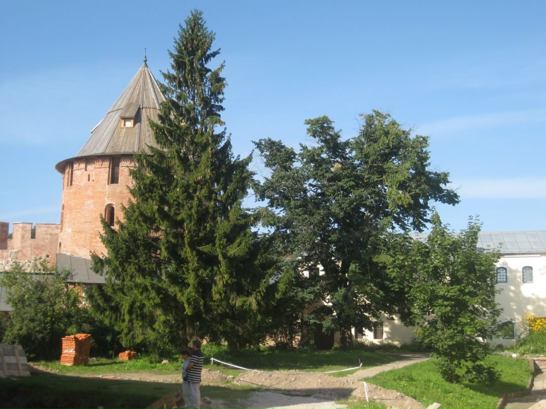 Oleg Olekshiy | Санкт-Петербург