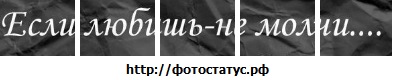 №16, София Николаенко №16, София Николаенко
