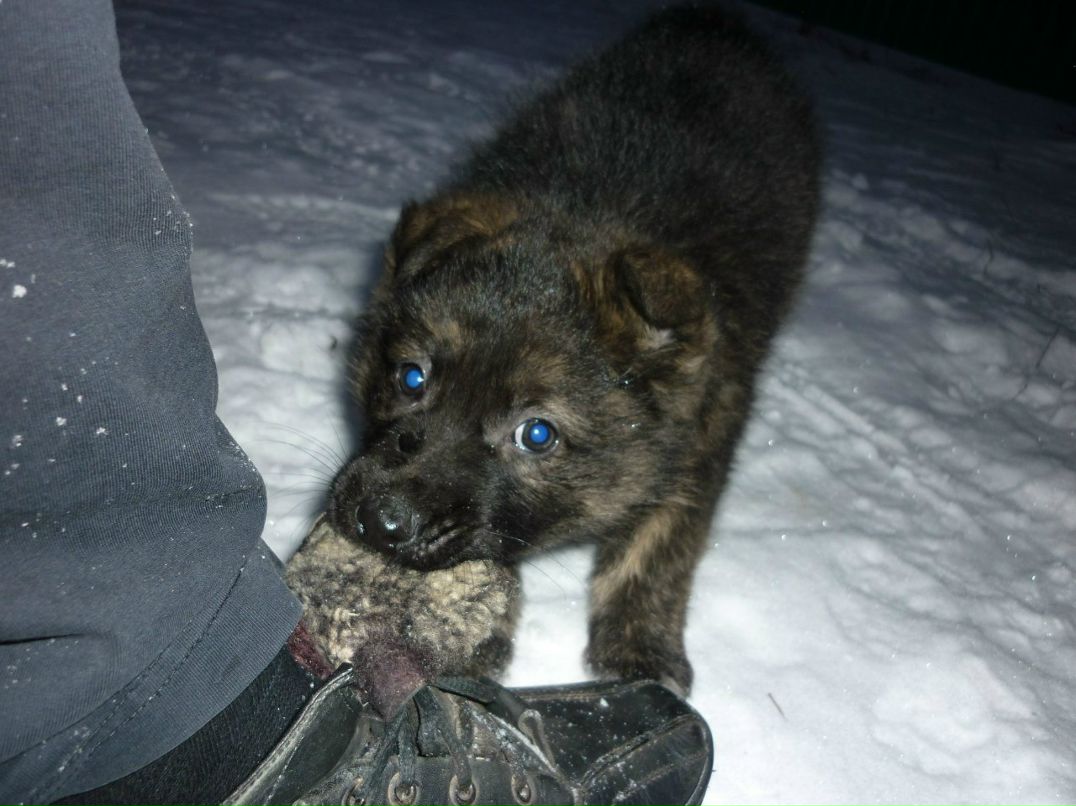 Айдар Данилович | Казань