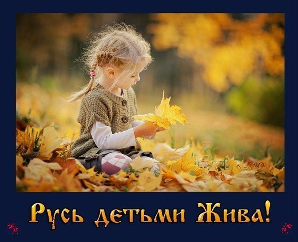 Алексей Чайка | Москва