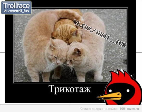 №84, Диана Дегтяренко №84, Диана Дегтяренко