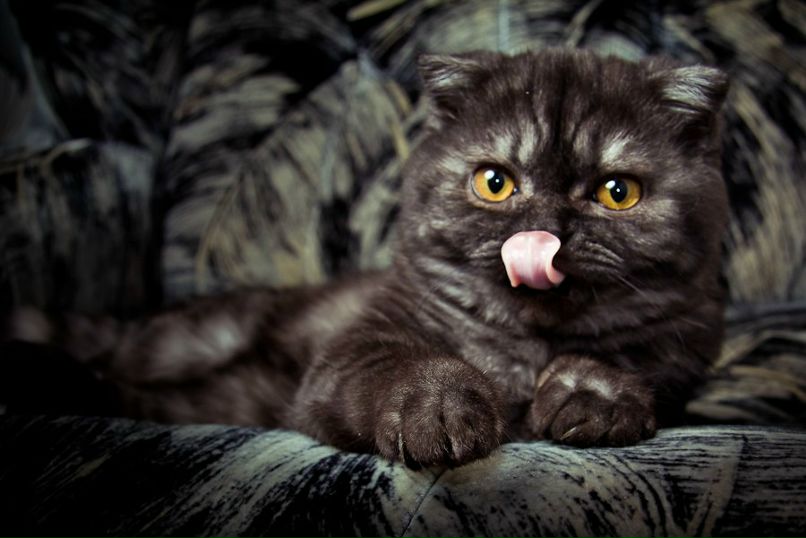 Михаил Степанищев | Челябинск