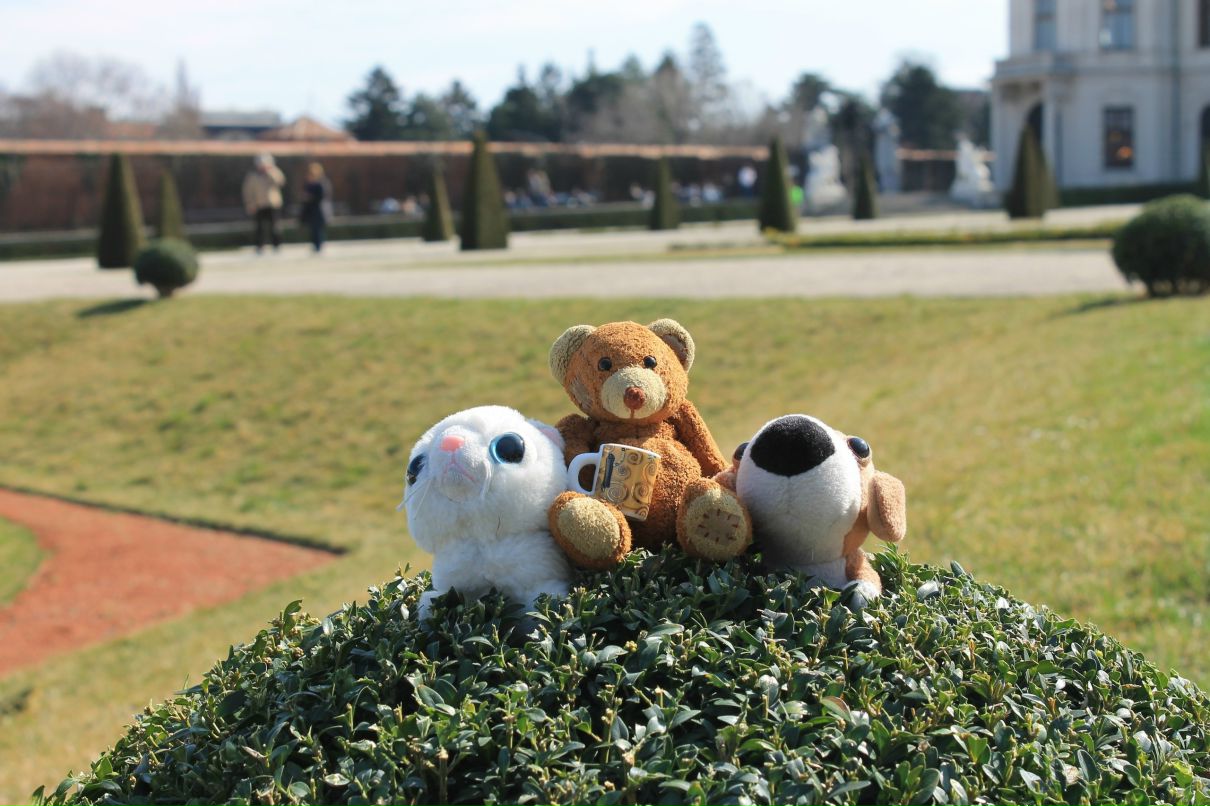 Софья Барсукова | Москва