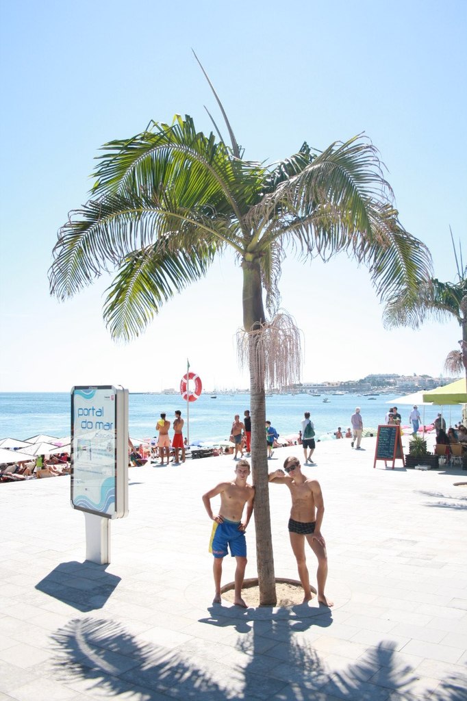 Artiom Tanshin | Днепр (Днепропетровск)