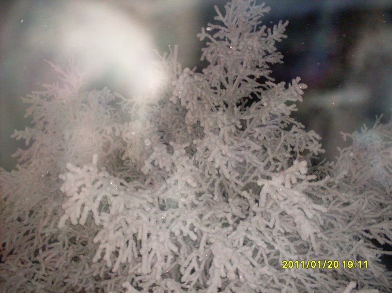 Светлана Тутова | Самара