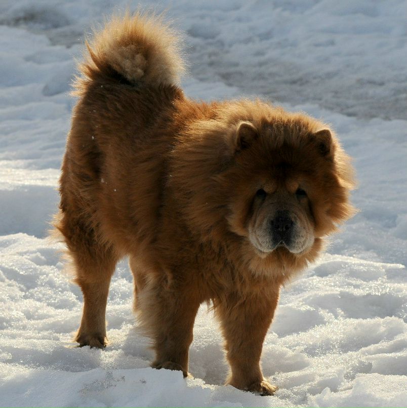 Nikolay Rutov | Сыктывкар