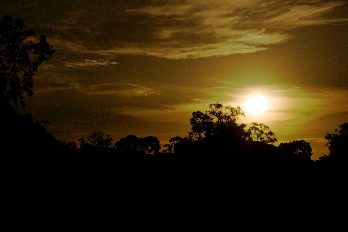 Дрю Святицкий | Melbourne