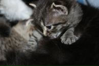 №7, Юлия Островская, 4.2.1990, 36 лет, Казань, Россия