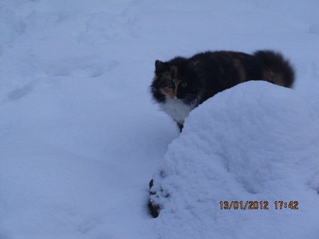 Екатерина Ефимова (Иванова) | Луга