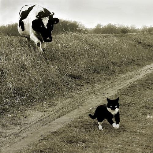 Masha Perochinskaya | Москва