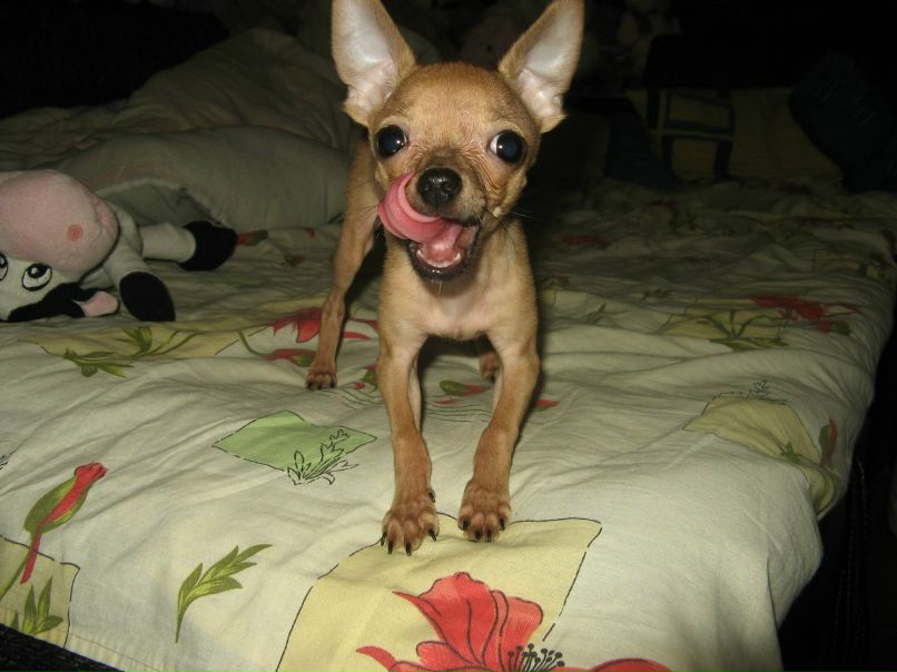 Натали Погребняк | Харьков