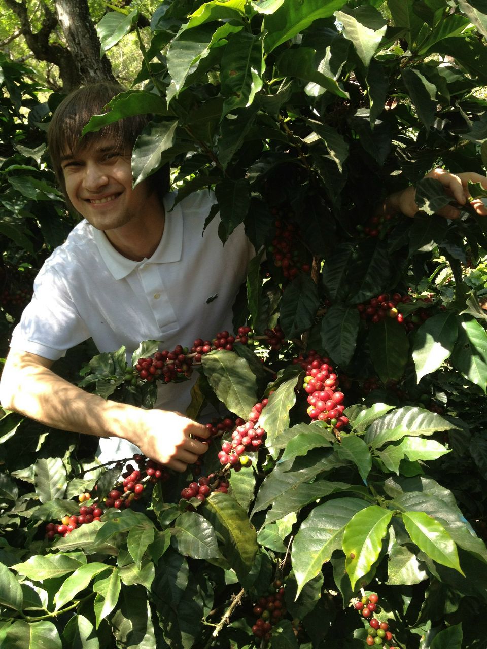 Даниил Панов | Новосибирск