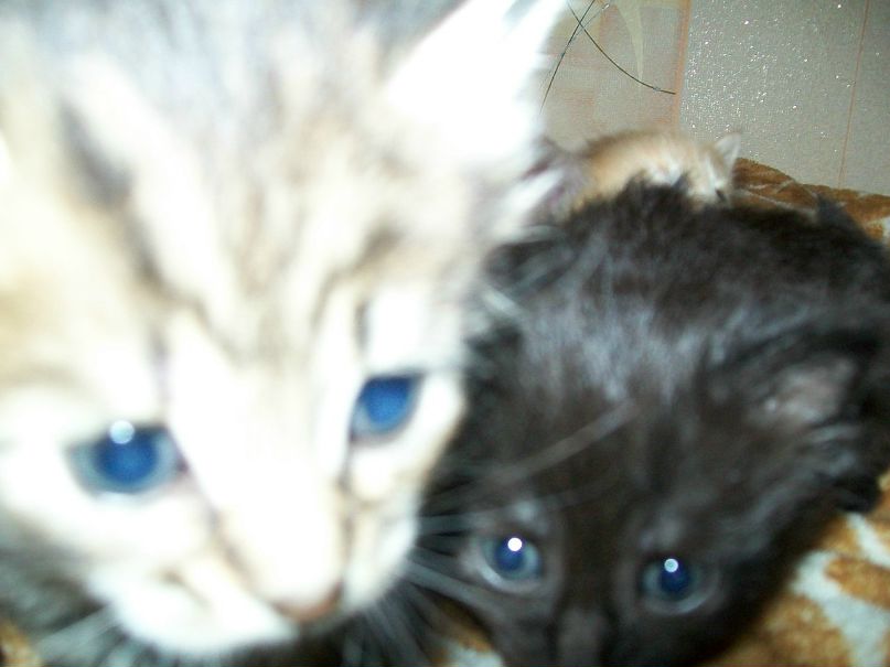 Гульнара Галиева | Уфа