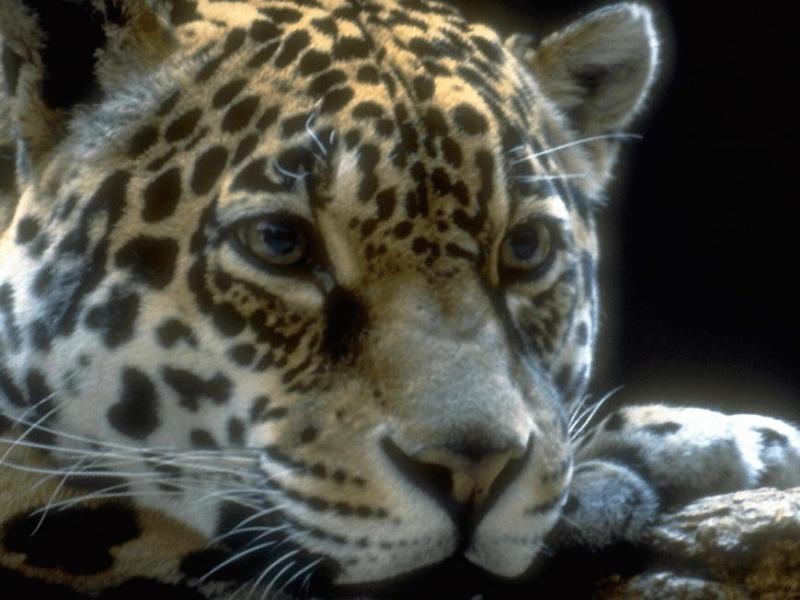 Евгений Пильщиков | Выборг