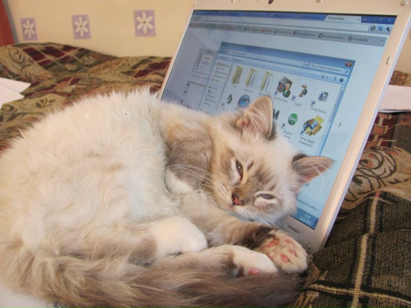 Светлана Седых | Санкт-Петербург