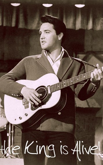 Марина Талыгина | Витебск