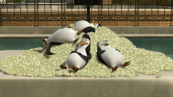 №13, Виктория Захарченко, Кизляр №13, Виктория Захарченко, Кизляр