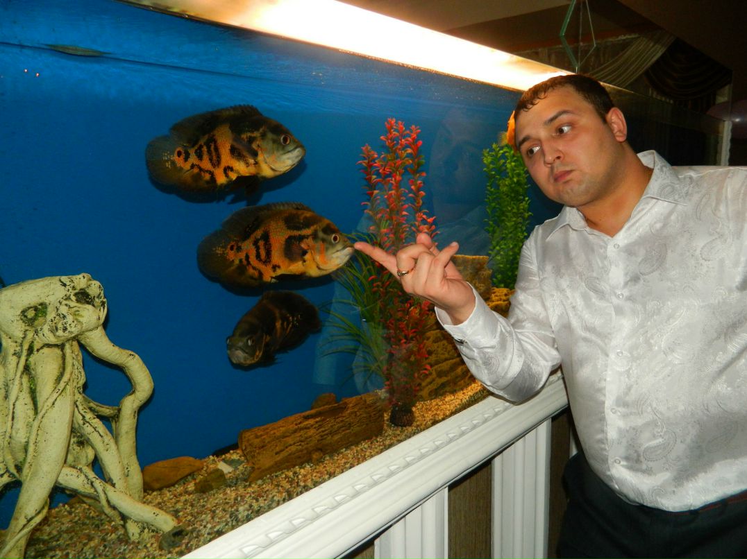 Антон Сучилов | Курган