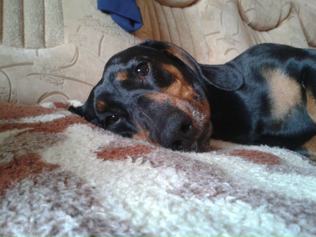 Влад Браун | Одесса