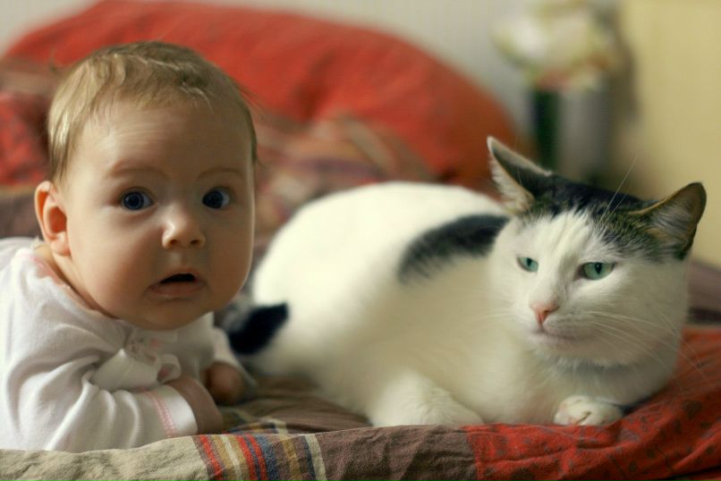 Буся Brown | Оренбург