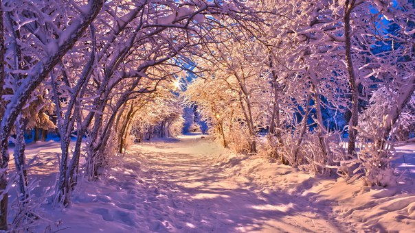 Саша Прохорова, Россия, Бийск