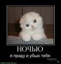 Фотография Юлия Кобец