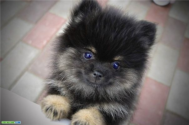 Настя Малокусова, Россия, Москва