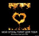 №3 Софья Леонова 01.09.1995: профиль, фото, статус - ВКонтакте №3 Софья Леонова 01.09.1995: профиль, фото, статус - ВКонтакте