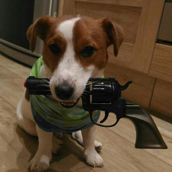 Кирилл Челнинцев, Россия, Орск