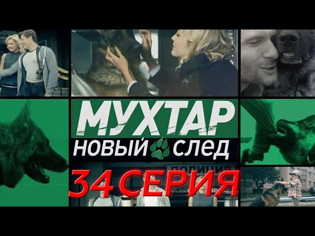 "Мухтар. Новый след". 34 серия. "Подстава для инопланетянина"