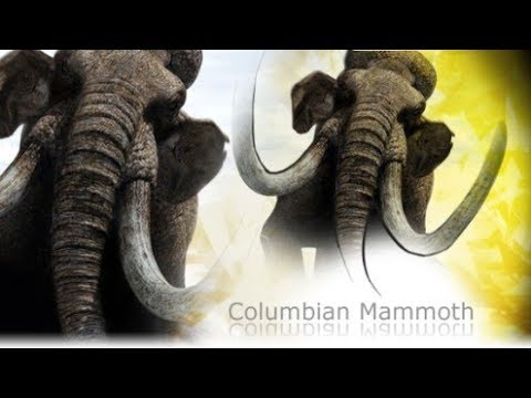Primeval - Mammuthus columbi