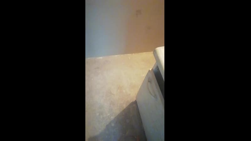 VID_20191023_171001.mp4