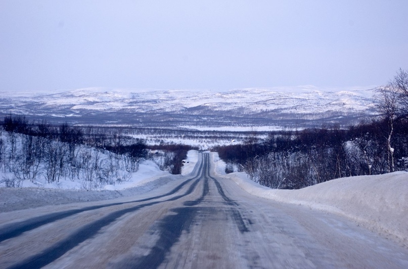 Лапландский заповедник, изображение №4