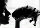 Фотография Оксана Сорочан