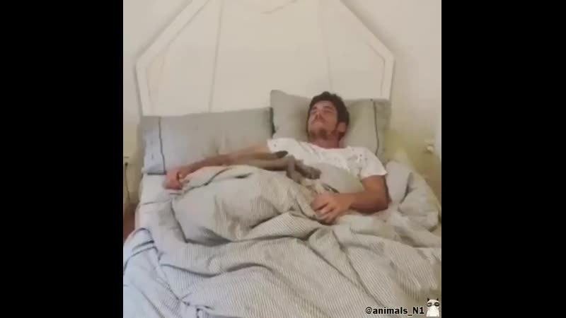 59HWsbmmhnkYINI_iF34Jtg_720p.mp4