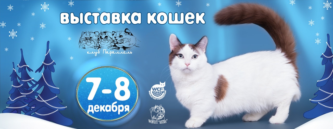 Афиша Воронеж Выставка кошек и щенков "Зимнее танго"