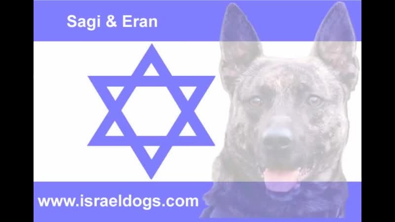 4 Israeli Special Forces Dogs simultaneous attack the