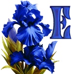 синий ирис алфавит, image #5