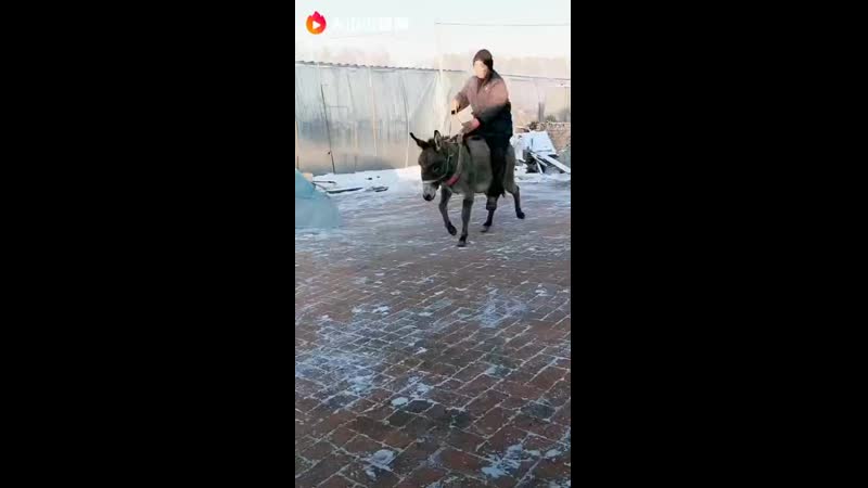 VID-20191205-WA0039.mp4