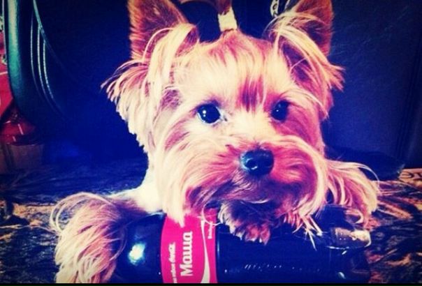 Елена Сергеева, Россия, Истра