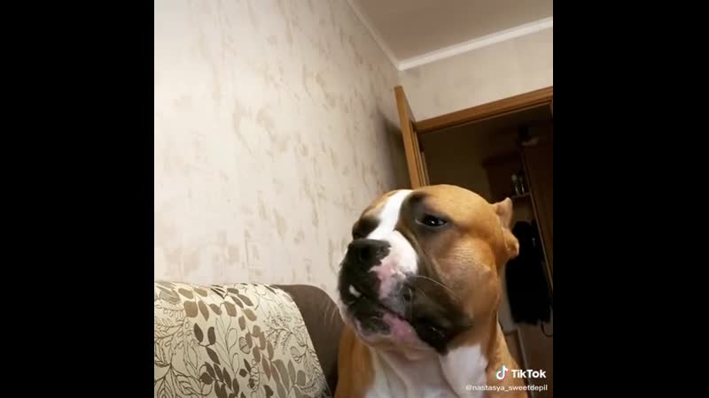 Хаммер 😍наш ⭐️клиент
