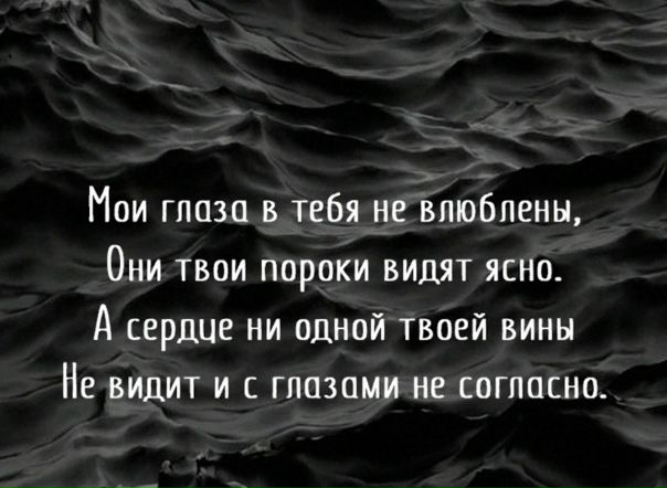Мои глаза в тебя не влюблены они твои пороки видят ясно. Стих про красивые глаза. Цитаты про глаза. А ты посмотрела в мои глаза. Мои глаза твои пороки видят ясно.