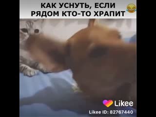 Видео от Азиза Жабборова