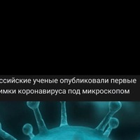 Сергей Хвостов | 