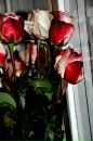 №7 Рузанна Саакян : профиль, фото, статус - ВКонтакте №7 Рузанна Саакян : профиль, фото, статус - ВКонтакте
