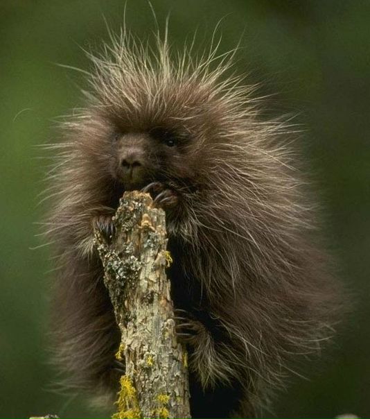 №108, Алексей Колесников, 39 лет, Москва №108, Алексей Колесников, 39 лет, Москва